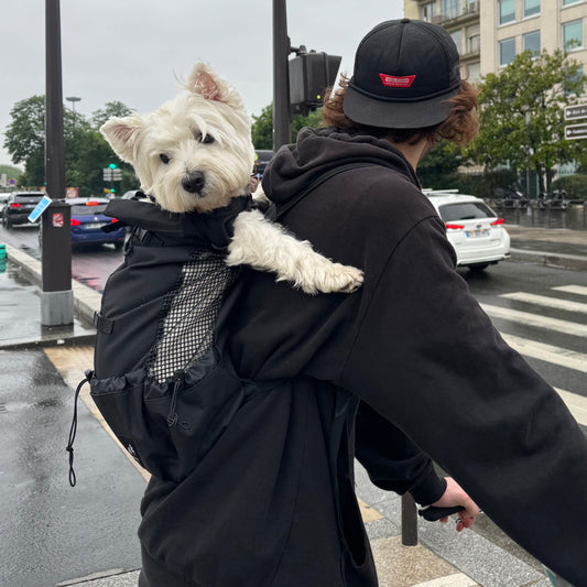 Mochila Para Perros